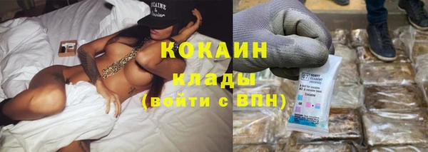 индика Верея