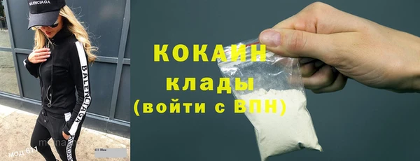 индика Верея