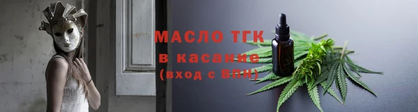 индика Верея
