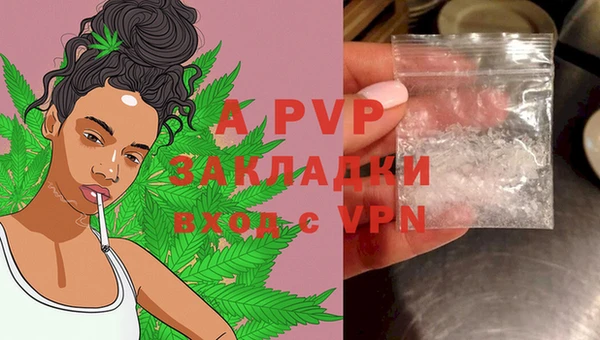 индика Верея