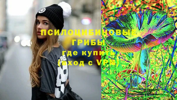 сатива Верхний Тагил