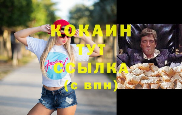 сатива Верхний Тагил