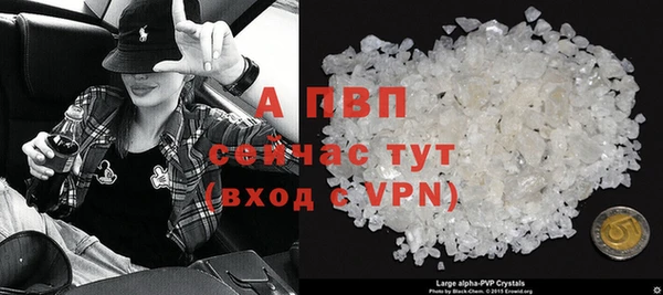 индика Верея