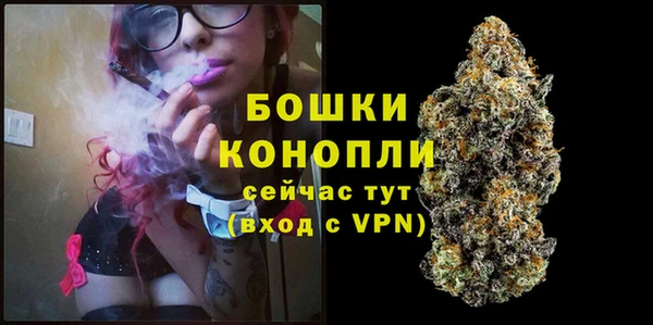 индика Верея