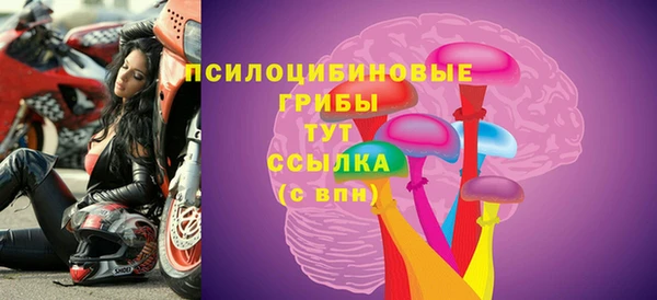 индика Верея