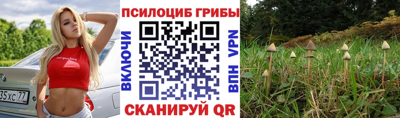 Купить где  Лиски  Галлюциногенные грибы Magic Shrooms 
